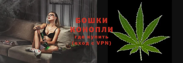эйфоретик Богородск