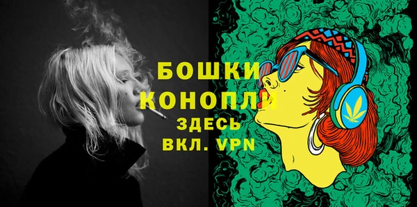 дурь Богородицк