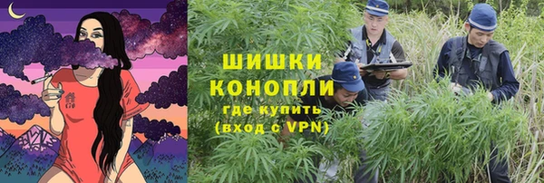 дурь Богородицк